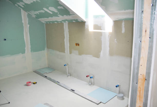 Best Environmental Consulting for Mold Prevention  in Faribault, MN