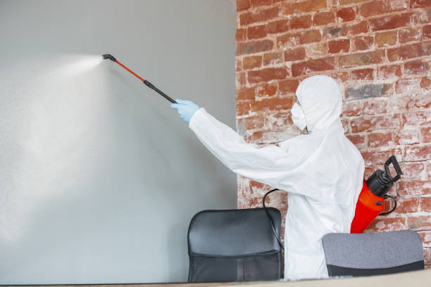 Best Air Quality Testing for Mold Spores  in Faribault, MN