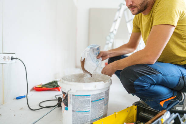Best Mold Damage Restoration  in Faribault, MN