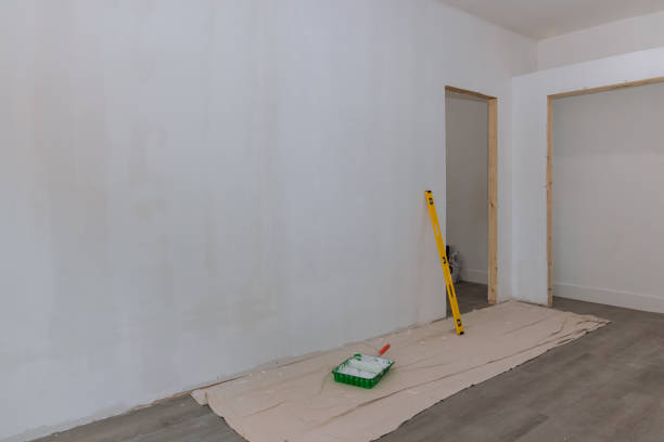 Best Black Mold Removal  in Faribault, MN