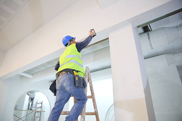 Best Mold Odor Removal Services  in Faribault, MN