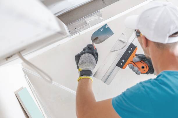 Best Asbestos and Lead Testing During Mold Inspection  in Faribault, MN